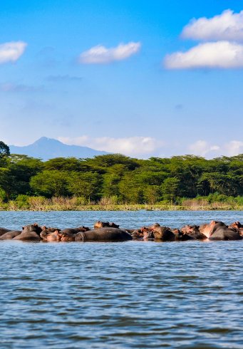 Masai Mara Explorer • Groepsreis
